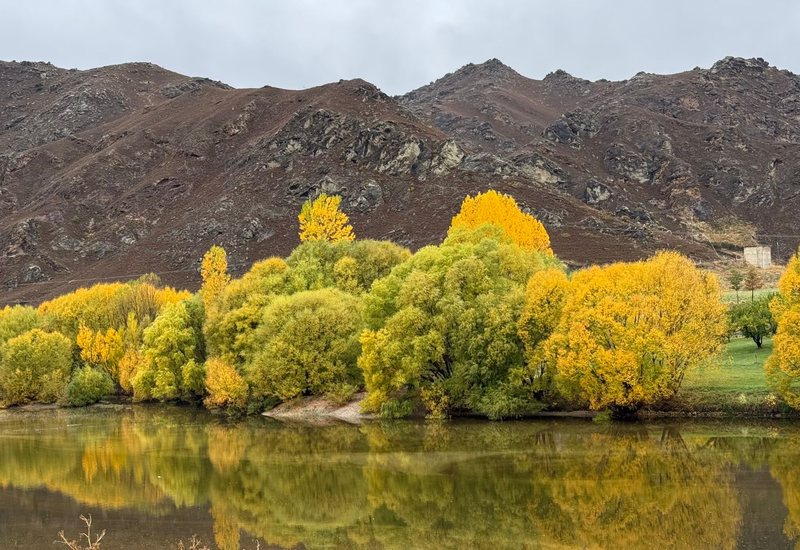 Autumn colour along the water in Central Otago